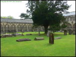Click on one of the size names above to enlarge this image Click on one of the size names above to enlarge this image