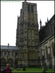 Click on one of the size names above to enlarge this image Click on one of the size names above to enlarge this image