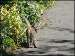 Click on one of the size names above to enlarge this image Click on one of the size names above to enlarge this image